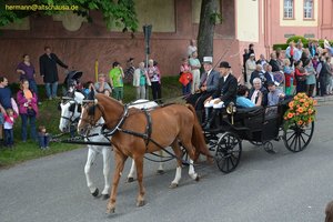 nik_019375_coodeiho.jpg