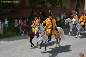 nik_019404_uimipaux.jpg