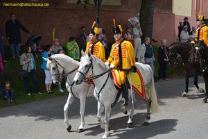 nik_019405_ailocool.jpg