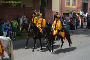 nik_019407_shahxohl.jpg