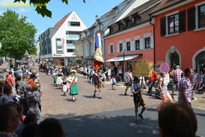 nik_019700_ohcoover.jpg