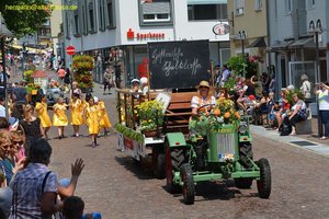 nik_019928_eengieph.jpg