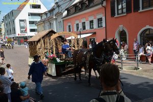 nik_020003_eiracaol.jpg