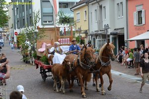 nik_020049_enuubaph.jpg