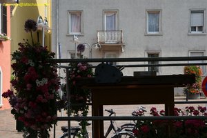 nik_020167_theelaeh.jpg