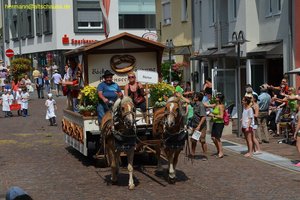 nik_020173_mimazaew.jpg