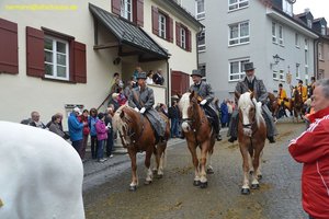 nik_028486_mooseequ.jpg