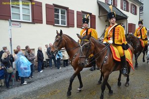 nik_028503_bigokoch.jpg
