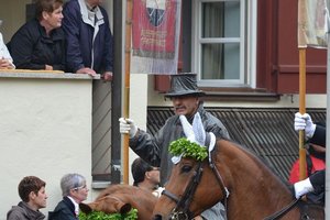 nik_028531_quohhahg.jpg