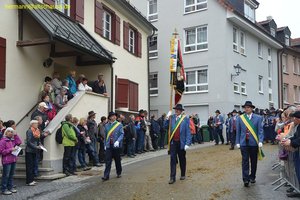 nik_028548_eingephu.jpg