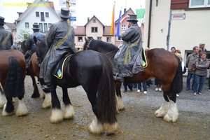 nik_028679_feifushe.jpg
