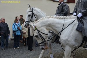 nik_028838_zohzaebo.jpg