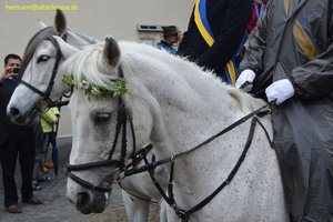 nik_028865_wiazaevo.jpg