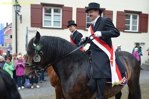 nik_028891_toongeil.jpg