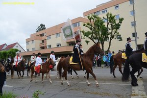 nik_028915_iequizai.jpg