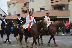 nik_028916_eekosuje.jpg