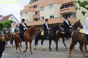 nik_028917_thahlaep.jpg