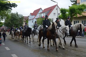 nik_028920_ebuxohgh.jpg