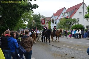 nik_028940_tophidai.jpg