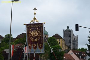nik_028965_jahphohv.jpg