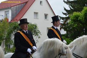 nik_029030_ohmaucha.jpg