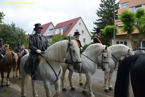 nik_029031_peingien.jpg
