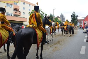 nik_029047_quiefahc.jpg