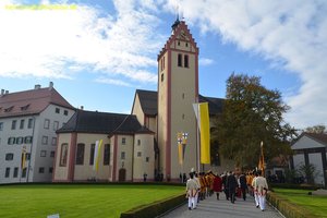 nik_031624_waachoiv.jpg