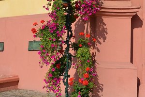 nik_038537_eibeekew.jpg