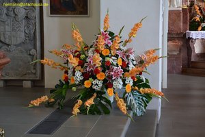 nik_038545_xeebohsa.jpg