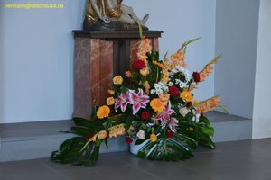 nik_038548_iepooghe.jpg