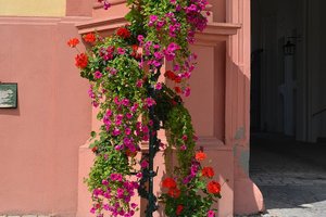 nik_039089_hiezudae.jpg