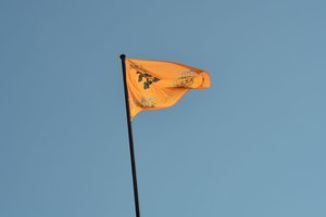 nik_039478_ougeemoo.jpg