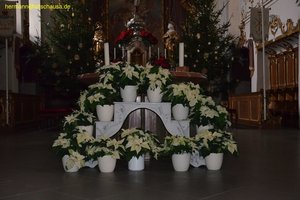 nik_040178_zhwteckm.jpg