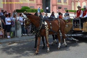 nik_040765_vz01_qgrrmakfrk.jpg