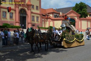 nik_040781_vz01_jllecrwzkn.jpg
