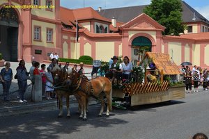 nik_040792_vz01_heqgutcaqx.jpg