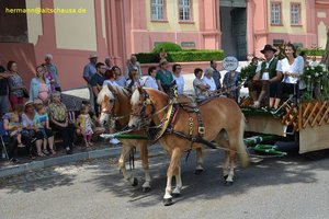 nik_040793_vz01_vawkoecuhl.jpg