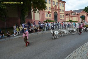 nik_040829_vz01_eutzjmqkuz.jpg