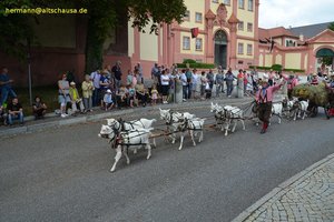 nik_040830_vz01_jbbhutqxgn.jpg