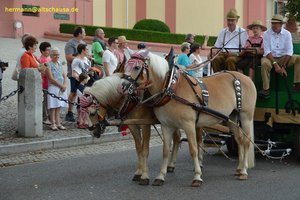 nik_040893_vz01_lpdwezmowk.jpg