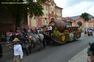 nik_040922_vz01_tfstevqhck.jpg