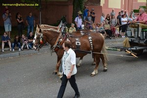 nik_040956_vz01_zjbzzuprna.jpg