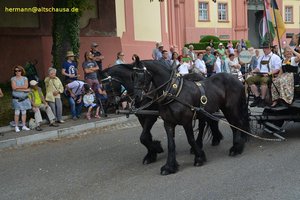 nik_040980_vz01_guumrczwlu.jpg