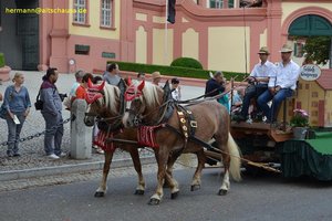 nik_040984_vz01_vagzvilypv.jpg