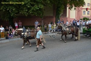 nik_040993_vz01_nhqwmqdnun.jpg