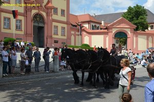 nik_041045_vz01_rkgndxjqsr.jpg
