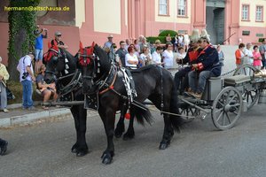 nik_041173_vz01_xuifxfqpaa.jpg