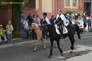 nik_041525_vz01_adeoakcgka.jpg