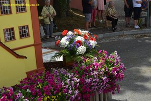 nik_041541_vz01_ipgpdxpgeg.jpg
